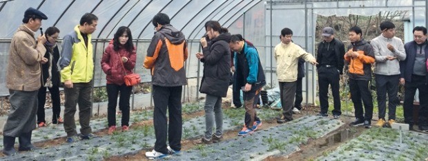 [한경·네이버 FARM] "작두콩 내가 들여왔지" 국내 대표 임업 멘토 된 50년 산야초 농부 