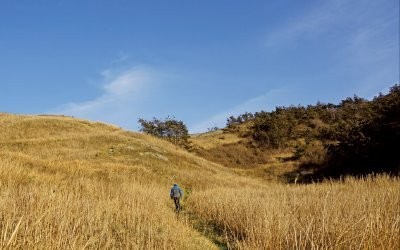 우이도 진리 띠밭너머해변으로 가는 언덕길.