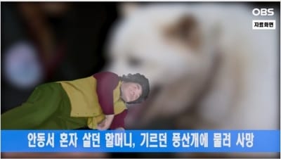 70대 독거 노인, 기르던 풍산개에 물려 숨져