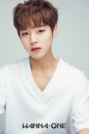 워너원 박지훈