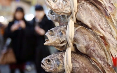  서울 광장시장서 30억대 '곗돈 사기'…경찰 수사 착수