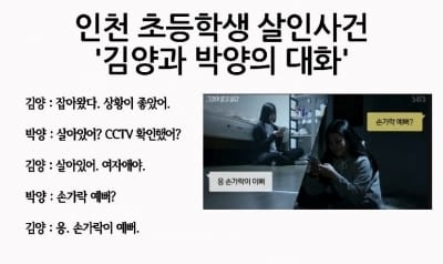 인천초등생 살인 공범, 살인교사 증거 확보 난항…트위터 DM 범죄자 소통창구 되나