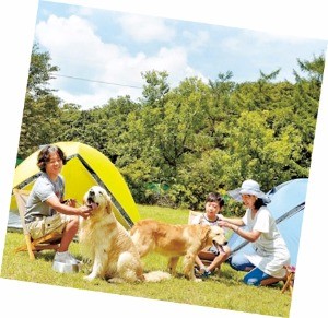 주인님, 설마 혼자 떠나시는 건 아니죠?…반려동물과 함께 여름휴가 보내기