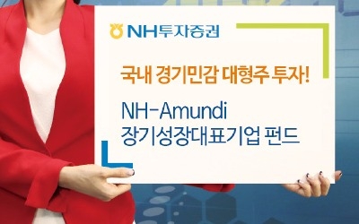  NH-아문디 장기성장대표기업 펀드, 국내 대형주 분산투자…2016년 수익률 7.99%