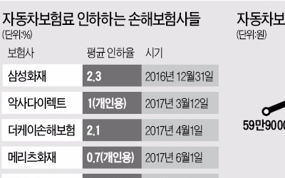 새 정부 코드 맞추기?…자동차 보험료 줄줄이 내린다