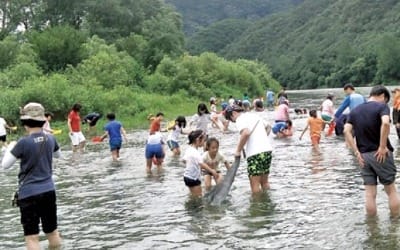  블루베리 수확부터 물놀이까지 '신나는 마을'