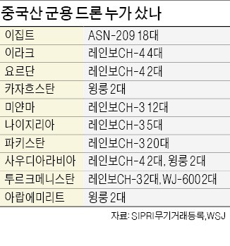 미국 동맹국 점령한 중국 드론