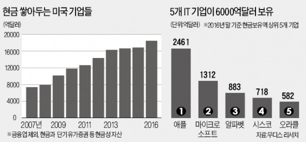 '주식회사 미국'은 현금 부자…애플 곳간엔 넷플릭스 3개 살 돈 비축