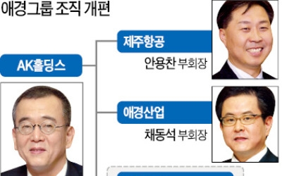 애경, 3개부문 없애고 각자대표 체제로