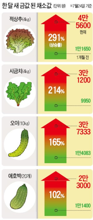 폭염·폭우에 '밥상 물가' 비명