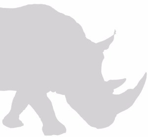중국 경제, 세 마리의 '회색 코뿔소' 앞에 서다