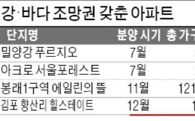  '거실서 강이  보이냐, 안 보이냐'…49억 vs 36억5000만원