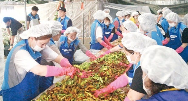 삼성전자 온양캠퍼스 직원들이 지난달 열린 ‘제8회 서머 쿨 행복 나누기’ 행사에서 충북 아산지역 저소득가정에 전달할 오이소박이를 만들고 있다.
 