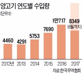 양꼬치·양갈비…'램'에 빠진 대한민국