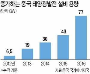 골칫덩이 된 중국 태양광 패널