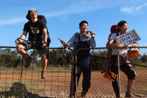 [한경·네이버 FARM] 2년 동안 12개국 35개 농장 '세계 농업일주' 한 세 청년들의 '삽질이력서'