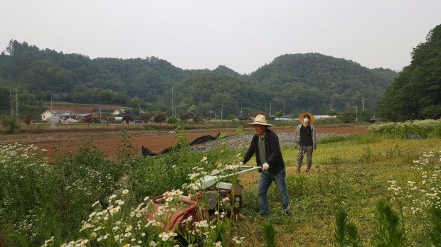 30년 전통 대학로극장의 귀농…충북 산골서 살아남는 법