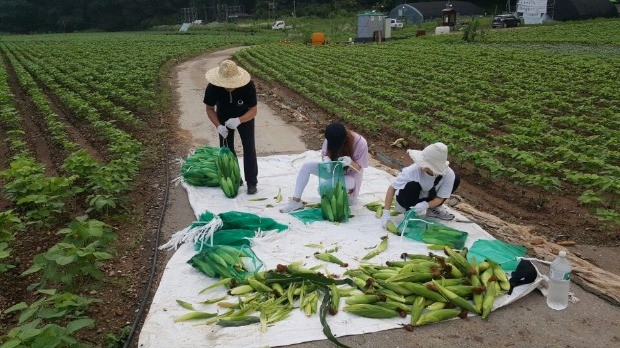 30년 전통 대학로극장의 귀농…충북 산골서 살아남는 법