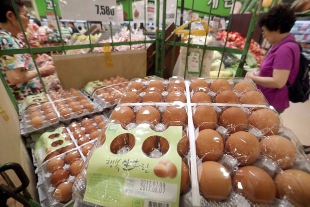 태국산 계란 2차 수입물량도 100만개…가격 안정효과는 '아직'