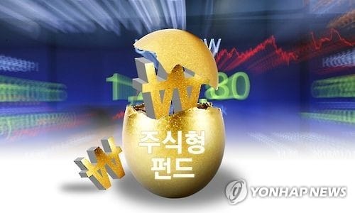"국내 주식형펀드로 지금 유입 늘어… '뉴머니' 입질"