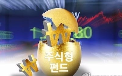 "국내 주식형펀드로 지금 유입 늘어… '뉴머니' 입질"