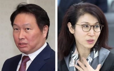 최태원·노소영 '이혼조정' 어떻게…재산분할 주목