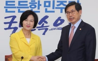 추미애, 박상기에 "단칼에 매듭 쳐내듯 검찰 대수술 기대"