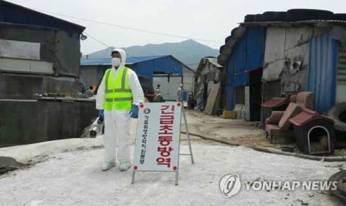 농식품부, AI 위기경보 '심각'→'주의' 하향조정