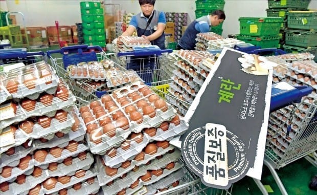 정부가 국내 농가 계란에서 살충제 성분이 검출됐다고 발표한 직후인 15일 주요 대형마트·백화점·슈퍼·편의점들이 계란 판매를 중단했다. 서울 시내 한 대형마트에서 직원들이 상품 매대에서 수거한 계란을 정리하고 있다. (자료 = 한경DB) 
