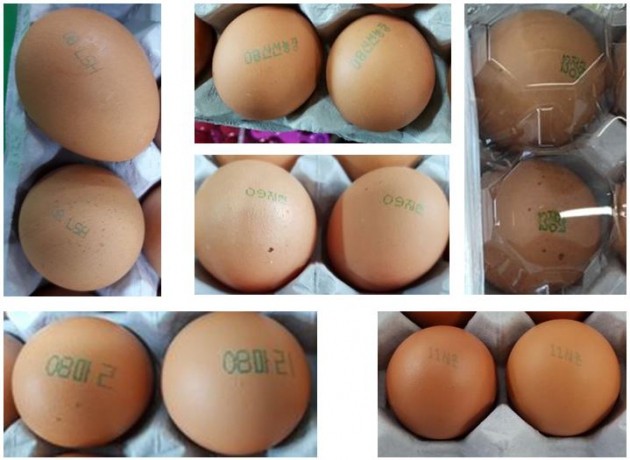 '살충제 계란' 전국으로 번졌다…친환경 농가서도 농약 성분 검출