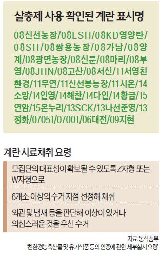 농장주가 건넨 계란으로 "검사 끝"…불안감 더 키운 '날림 전수조사'