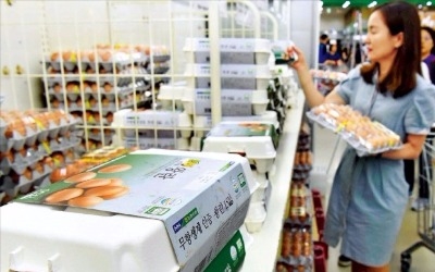 [모닝브리핑] '살충제 계란' 전수조사 결과발표…美증시, 정책·테러 악재에 하락