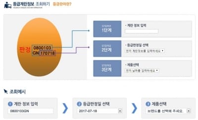 부적합 농가 67곳 적발…'살충제 계란 번호' 간편 조회 방법 보니