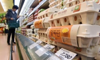 산지가 25% 폭락했는데…대형마트는 계란값 '찔끔' 인하