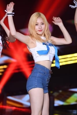  소나무 의진, '한 줌 개미허리 과시~'