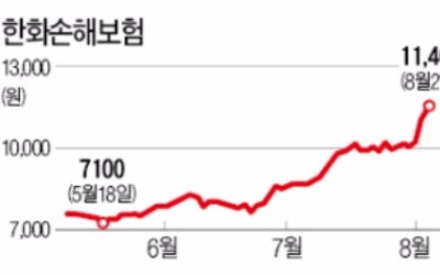 손해보험주 연일 신고가 행진