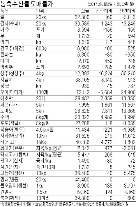 [농수산물 시세] 작년보다 3배 뛴 상추 값