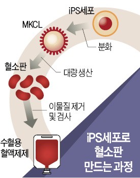 일본, 세계 최초로 혈소판 양산한다