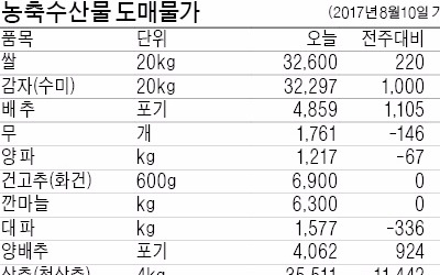  양배추값 한달새 2배 급등