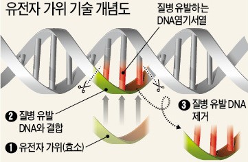 [맞짱 토론] 인간배아 연구 규제 완화해야 하나