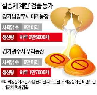 모든 계란 출하·판매 전격 중단