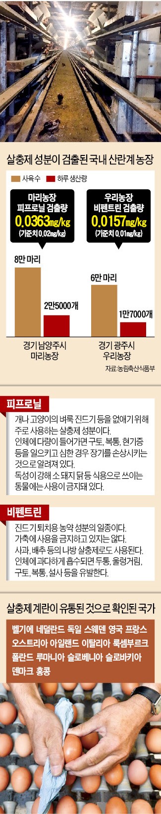 산란계 농가 17일까지 전수조사…살충제 미검출 계란만 출하