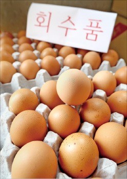 가라앉지 않는 '에그포비아'… 대형마트 계란판매 반토막