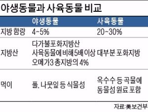 살충제 계란부터 독돼지까지… 공장형 농장의 역습