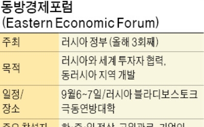 아베는 푸틴과 기업인 만나는데…문재인 대통령, 한·러 경제인단 간담회 불참