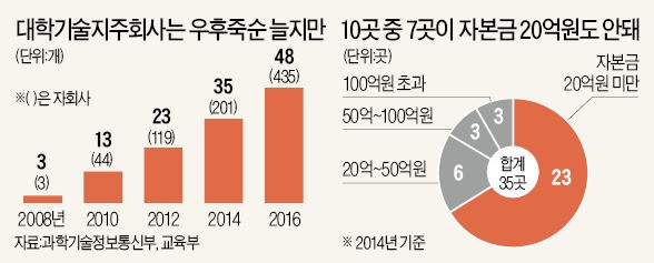 대학기술지주회사 48곳 생겼지만…10곳 중 6곳 자본금 20억도 안돼