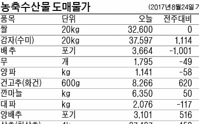 산지 닭 가격 37% 급락