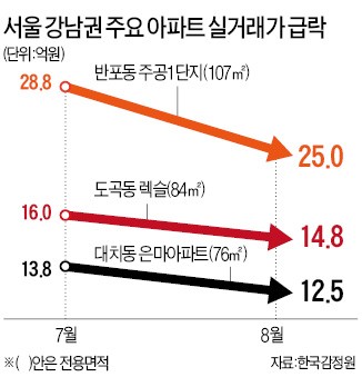 1억3000만원 빠진 은마…8월엔 단 한 채만 팔려