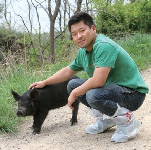 [한경·네이버 FARM] 일제강점기 때 사라진 한국 재래돼지 되살린 30대 농부