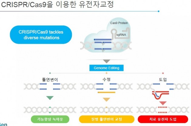 제공=툴젠